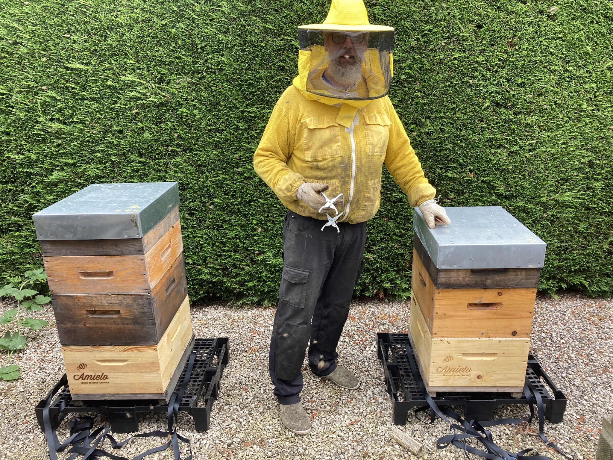 Bijenkasten Precia Molen Belgium